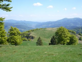 The High Vosges