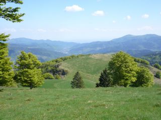 Les Hautes Vosges