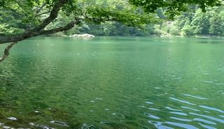 Natural sights