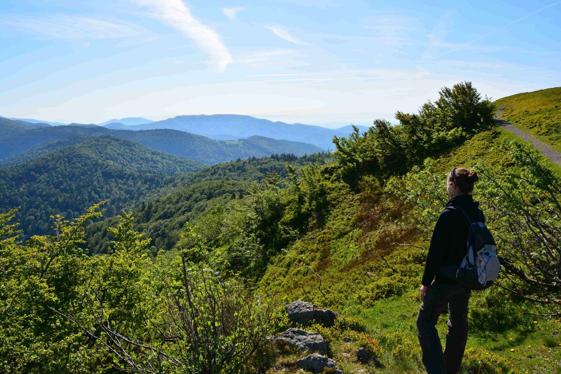 Vue panoramique du Ballon d'Alsace