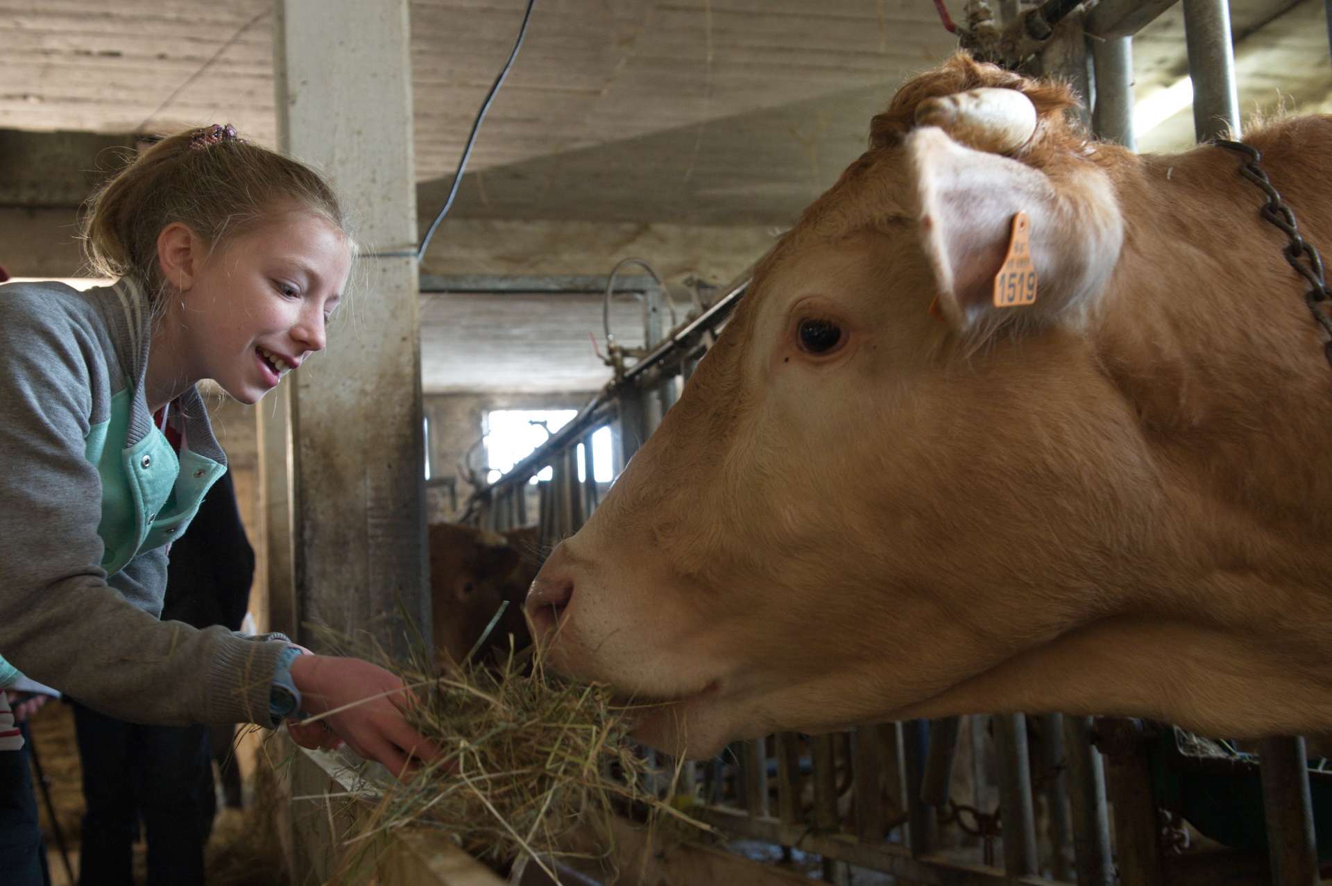 Rencontre en ferme-auberge