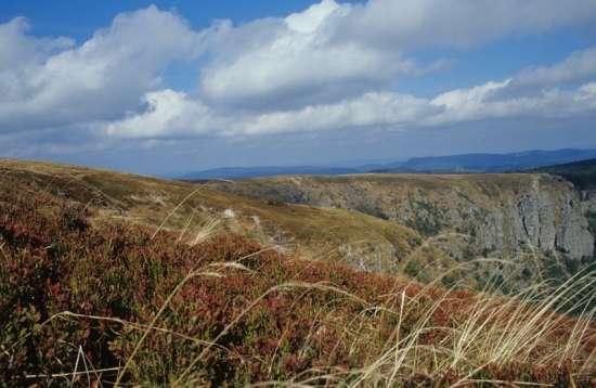 Chames en zone Natura 2000