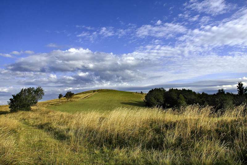 Haute Chaume (high meadows)