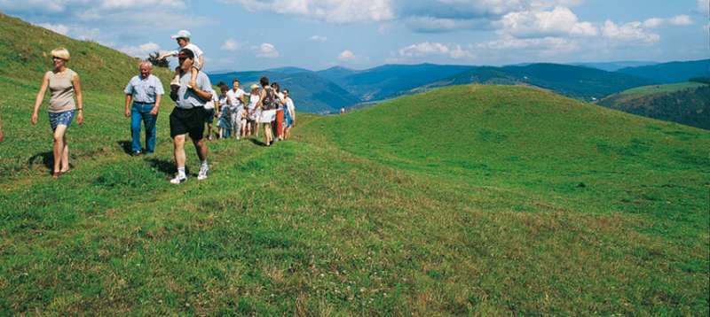 Vosges Mountains