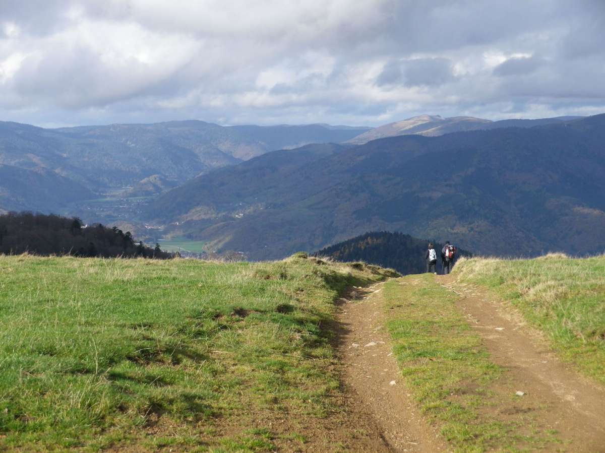 Hochweide bei Belacker