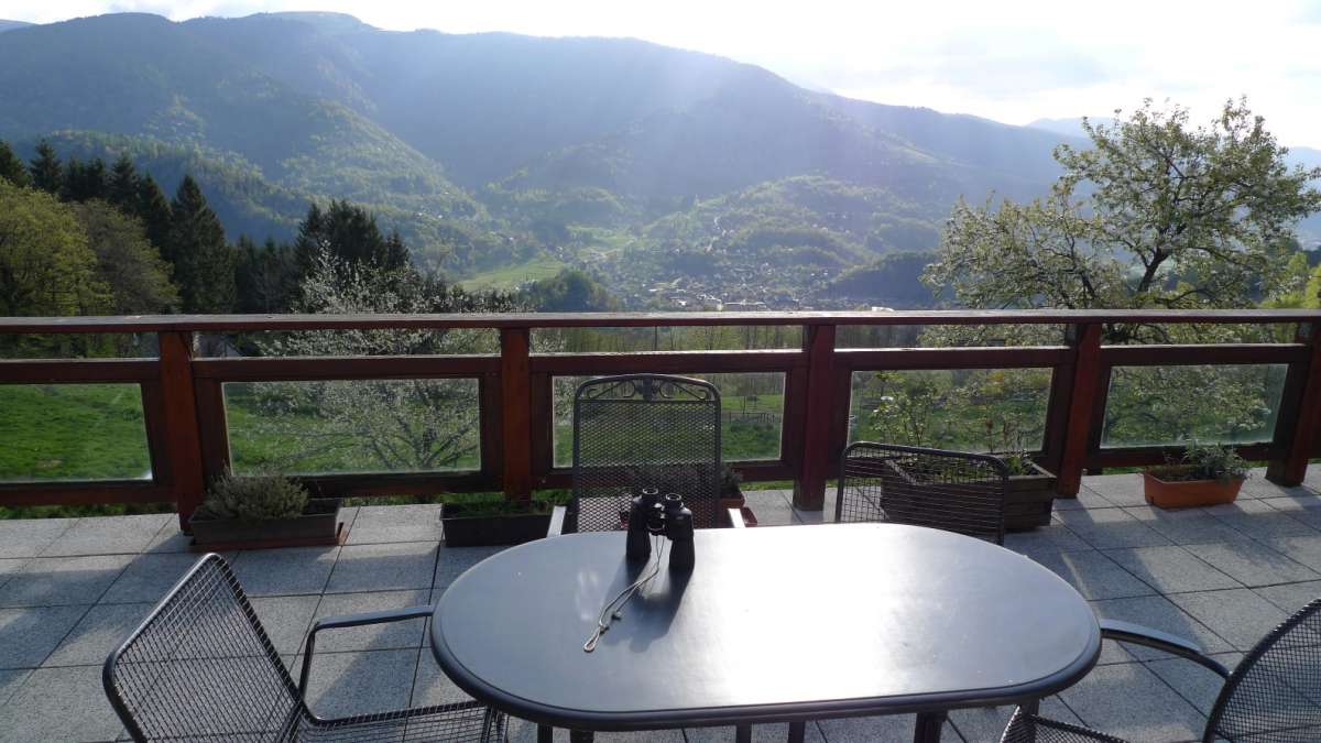 Vue de la terrasse du gite de la ferme du Bergenbach