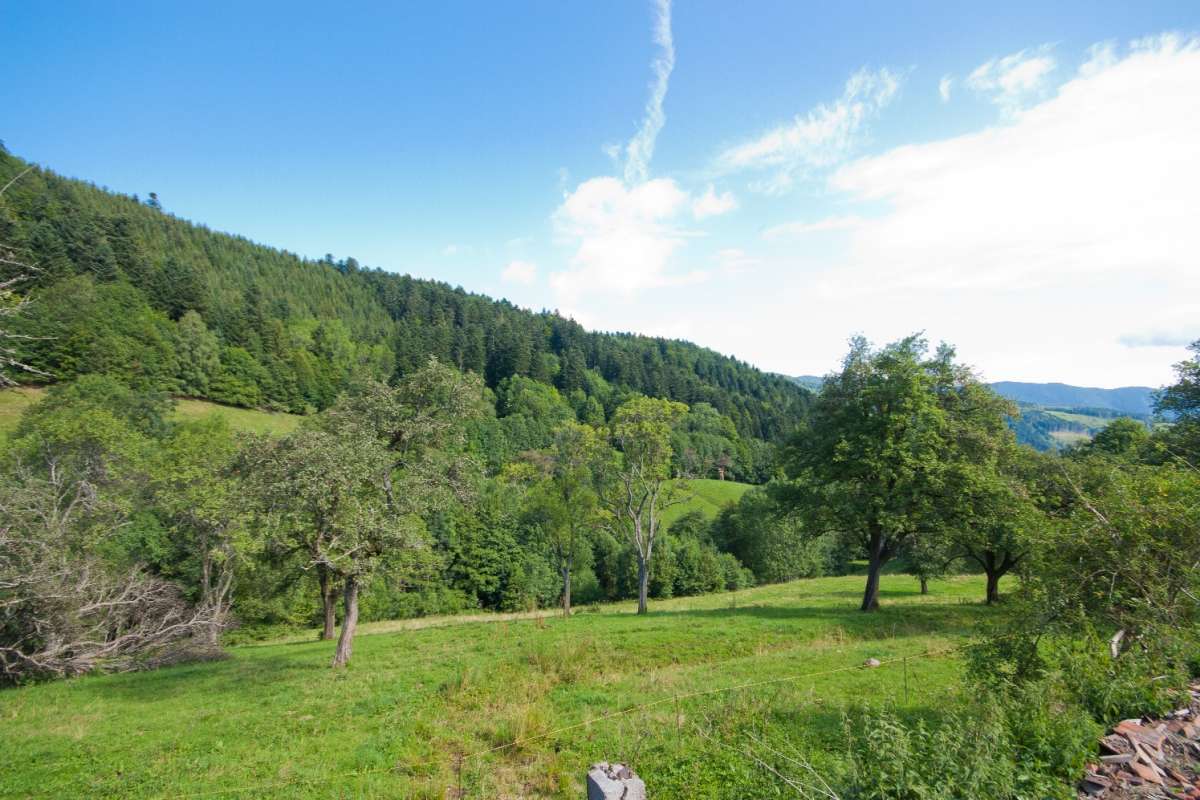 Blick von der Graberhütte