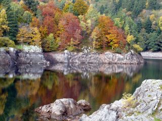 Lac d'Alfeld