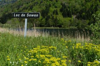 Lake Sewen