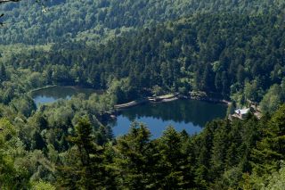 Neuweiher Lakes