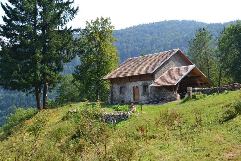 Alter Bauernhof Gazon Vert