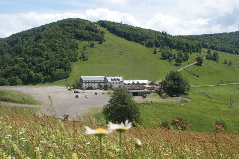 Rouge-Gazon pasture (chaume)