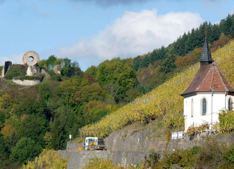 Wanderpfad in den Weinbergen von Rangen