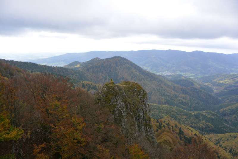 Vulkanische Wälder