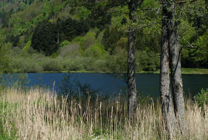 Lac de Sewen