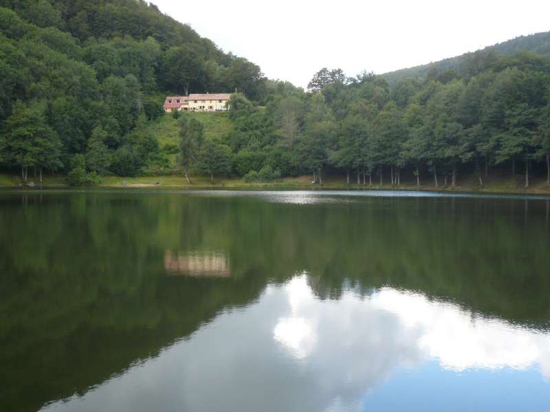 Lake Lachtelweiher