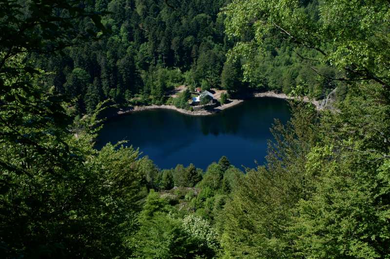 Neuweiher Lakes