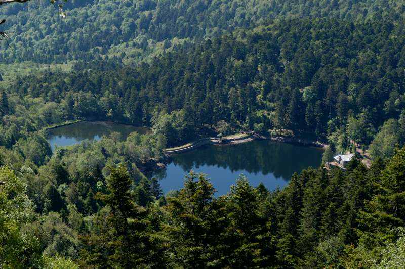 Neuweiher lake