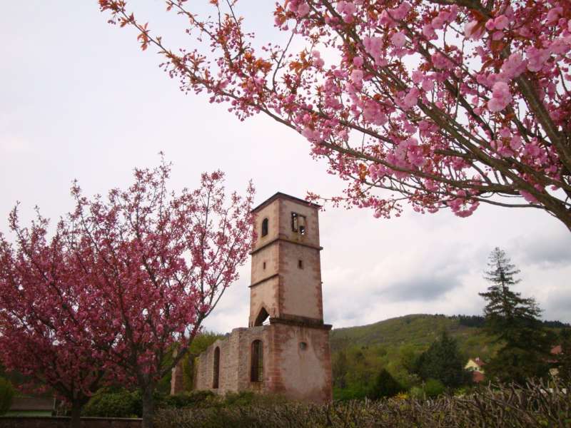 Ruinen der Kirche von Leimbach