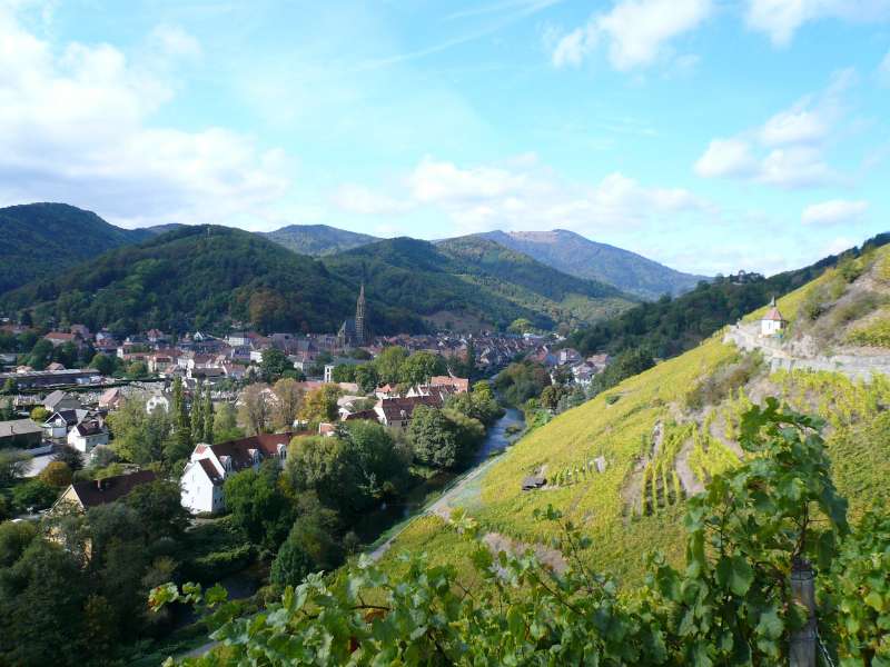 Vineyards of Rangen