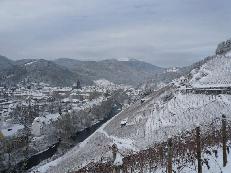 Vignoble du Rangen sous la neige