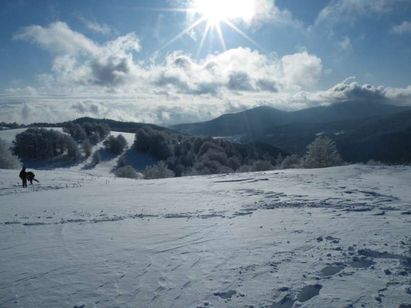 Vue sur la Vallée de la Doller depuis le Ballon