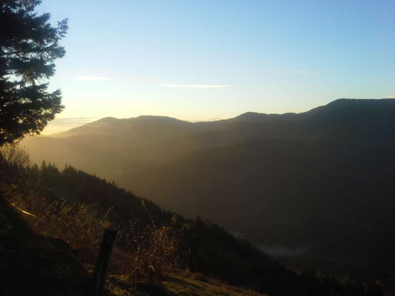 Blick auf den See von Gustiberg 