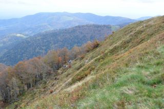 Du haut du Ballon d'Alsace