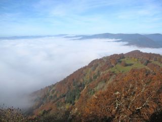 Sea of clouds autumn